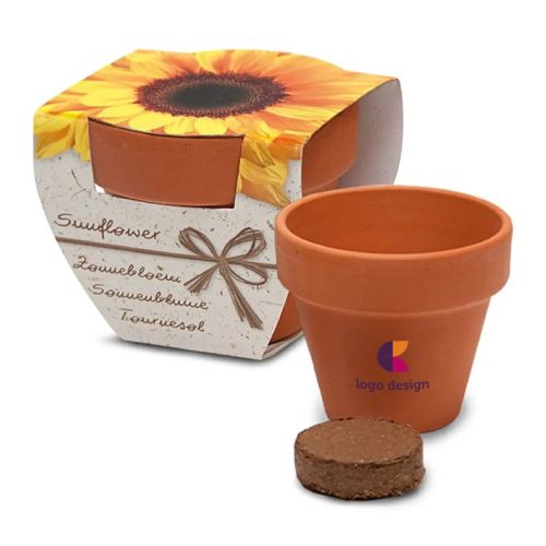 Flower in pot - Image 1